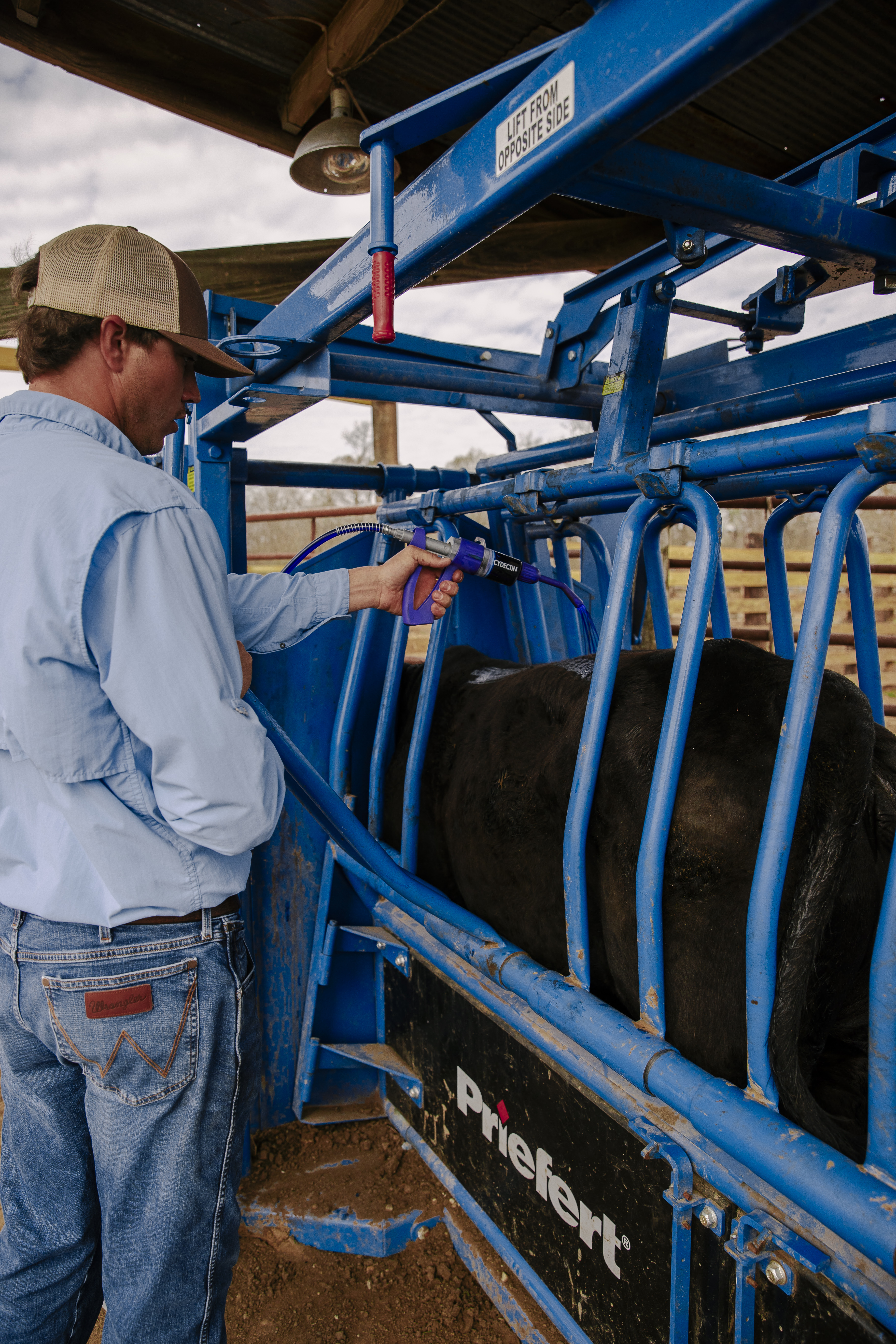 SqueezeChute SC25 0326 Boyce 9281.jpg